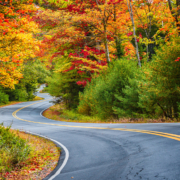 winding road in fall