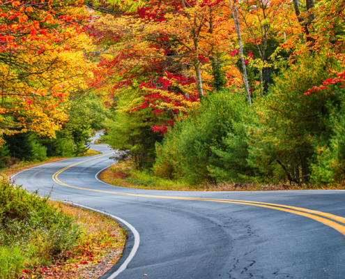 winding road in fall