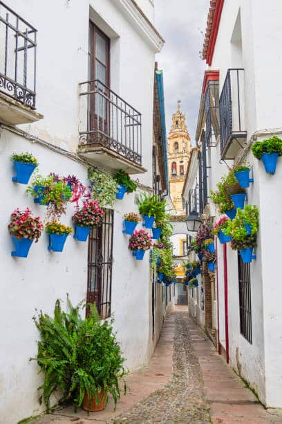 The charming Calleja de las Flores in Cordoba with flower pots and cathedral bell tower view